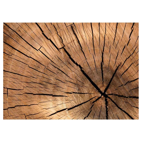 MANTELITO 30X42 80GRAMOS DECORADO TRONCO OFFSET P/250