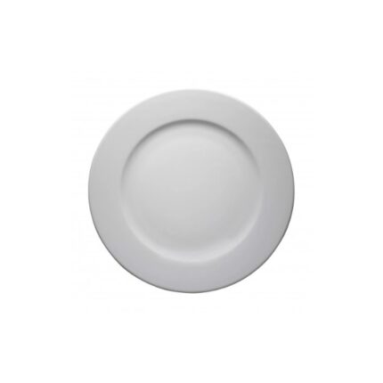 PLATO LLANO 25CM MODELO FRIG